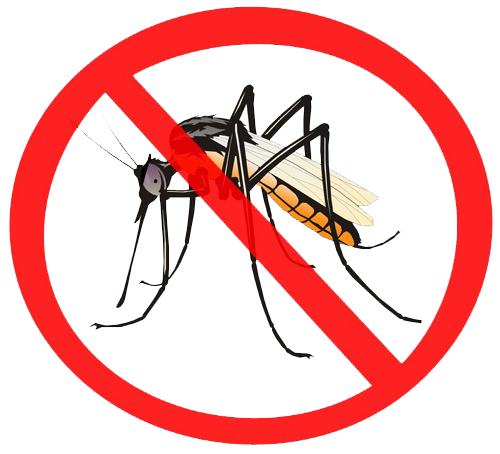 Vì sao nên phun diệt muỗi?