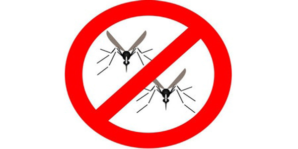 Báo giá dịch vụ phun thuốc muỗi tại Hải Phòng