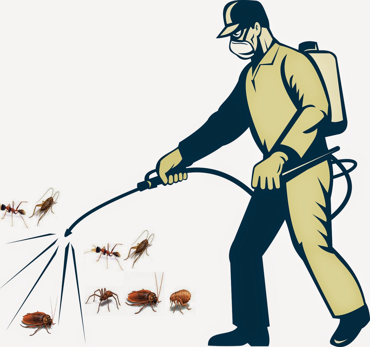 Nhà Sạch Hải Phòng diệt côn trùng uy tín ở Hải Phòng